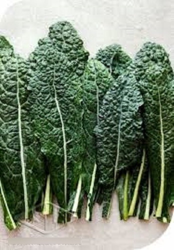 Couve Kale Floribela 1,4g +-380 Sementes Para Plantio