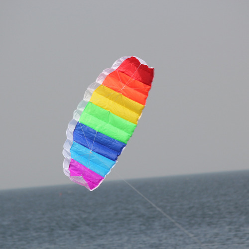 Acrobacia Colorida Con Alas De Doble LĂnea De Vuelo De 1/1,4