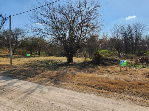 Terreno En Puigari