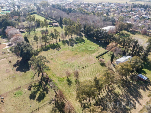 Imagen 5 de 20 de Excelente Fracción En Venta De 23.000m² Pilar Del Este