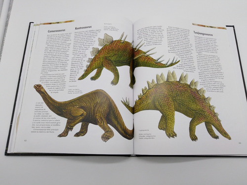 Libro Sobre Los Dinosaurios, Especies Ilustrado Para Niños | MercadoLibre