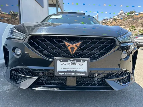 Cupra formentor 2.0 Tribe At