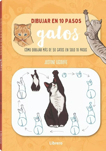 Libro Dibujar Gatos En 10 Pasos Dibujar Más De 50 Gatos