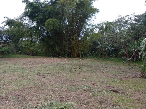 Imagem 29 de 30 de Chácara À Venda Na Ponta Da Pita, Por R$ 400.000 - Antonina/pr - Ch0145