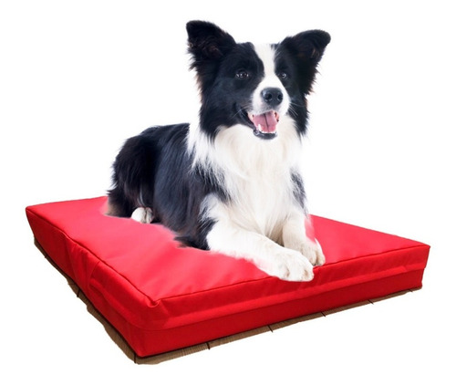 Cama Perro Mediana Colchoneta Antidesgarro Impermeable