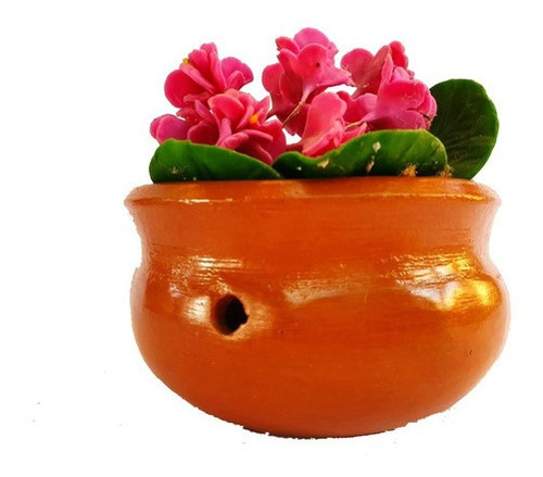 Vaso De Plantas Ceramica Para Suculentas Orquideas Cactos | Parcelamento  sem juros