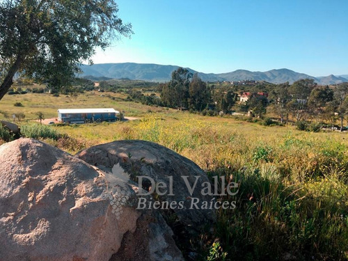 Imagen 7 de 18 de 3 Hectáreas En Valle De Guadalupe A Un Lado De Clos De Tres