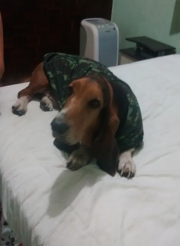 Roupas Para Cães De Grande Porte - Malha