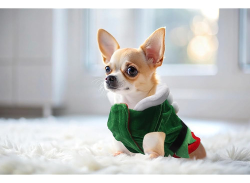 Disfraz De Mascota Navideña Disfraz De Perro Elfo Navideño R