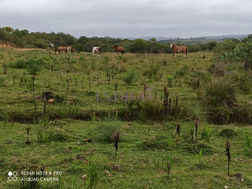 Chacra En Zona De Las Cañas, Buenas Vistas Con Tajamar Y Arroyos!