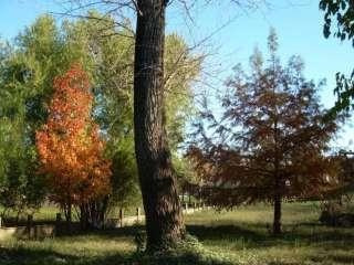Imagen 3 de 9 de Espectaculares Lotes Frente A La Costanera Y Centro De Gualeguaychú.