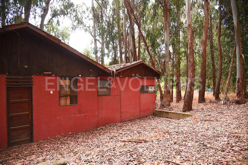 Terreno Para Un Interesante Proyecto
