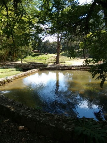 Imagem 20 de 20 de Sítio A Venda Jardim Cardoso (mailasqui), São Roque - V4089 - 32629157