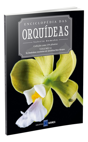 Enciclopédia das Orquídeas - Volume 11, de Editora Europa. Editorial Editora Europa Ltda., capa mole em português, 2021