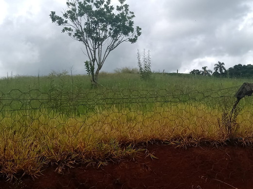 Chácara 1,1/2 Alqueire 36000m2 Casa Simples,100mts Do Asfalto,37 Km De Itapetininga,localização Nobre - Ch00053 - 68982171