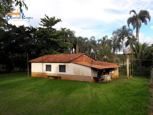 Chácara Com 3 Dormitórios À Venda, 193600 M² Por R$ 1.500.000 - Setor Central - Anápolis/go - Ch0101