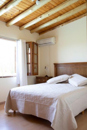 Imagen 13 de 17 de Divina Quinta En San Rafael -viña, Ciruelos Y Chalet- 10has