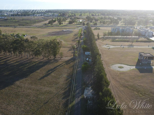 Imagen 5 de 10 de Venta - 7 Hectáreas En Canning