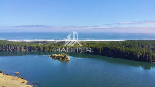 Imagen 2 de 30 de Sitio 5.000m2 Oferta Orilla Rio Navegable En Venta En Toltén