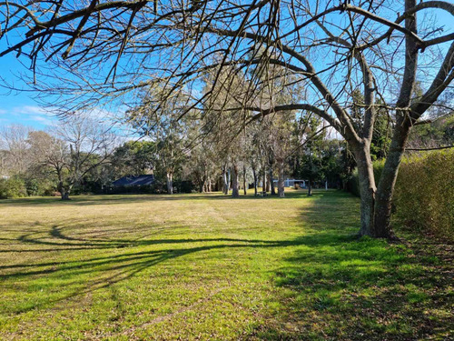 Imagen 7 de 14 de Terreno En Venta 1800m2 Con Excelente Arboleda