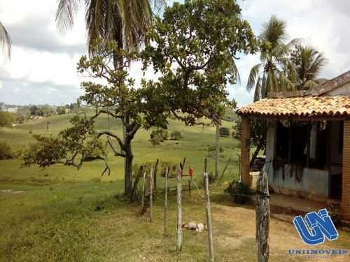 Imagem 4 de 14 de Fazenda Com 118 Tarefas Em São Sebastião Do Passé - Bahia - Afd046 - 70528054