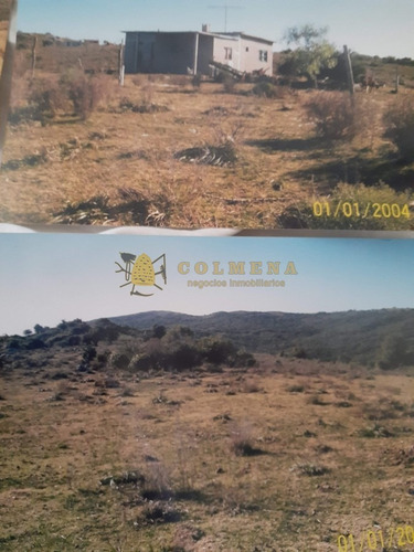 Campo Con Casa, Tajamar Monte Natural Muy Cerca De Aigua Consulte.- Ref: 1552