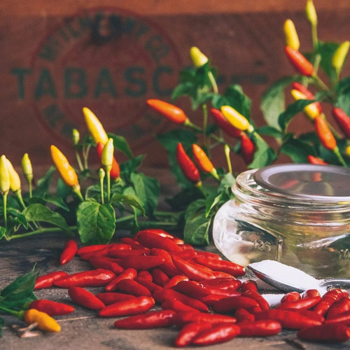 Salsa Tabasco Rojo Original 60ml Picante
