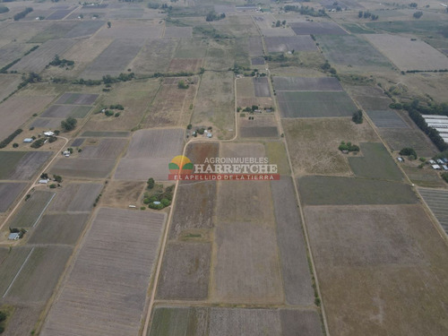 Imagen 4 de 21 de Chacra En Canelón Grande, 5 Has Con Casa, Cañada.