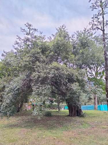 Imagen 4 de 6 de Amplio Lote En Venta En El Corte, Barrio Reserva Privada Los Cerros, Yerba Buena
