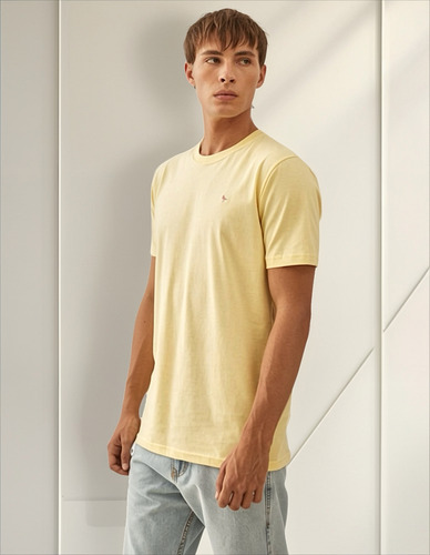 Remera Levitt Bordada De Algodón Jersey Holgada