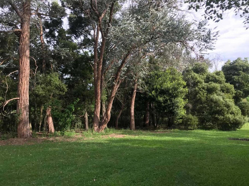 Imagen 3 de 14 de Casa De Campo 1 Ha Pileta Libre Este Finde!