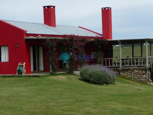 Imagen 20 de 20 de Hermosa Chacra De 39 Hs Con Casa