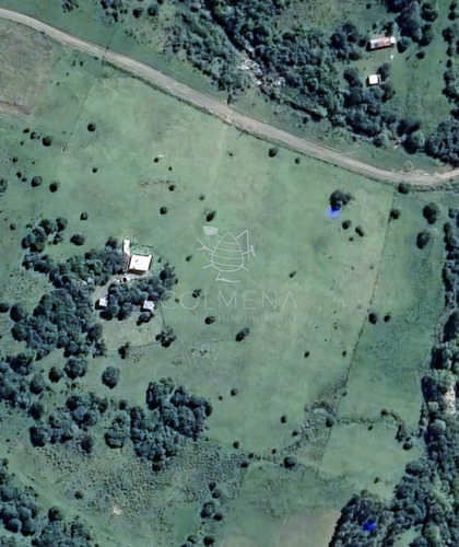 Imagen 19 de 19 de Campo 7 Has Con 1333 M2 Cerca De Aigua
