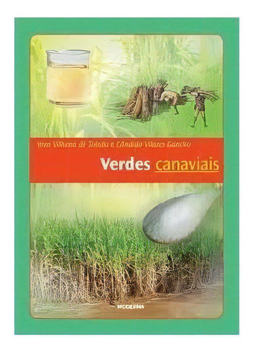 VERDES CANAVIAIS, de TOLEDO, VERA VILHENA DE. Editora MODERNA - PARADIDATICO, capa mole em português