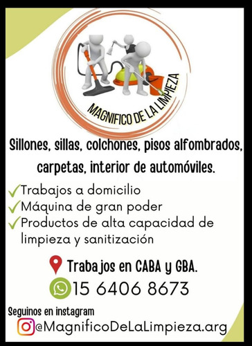 Limpieza De Alfombras, Carpetas, Sillones, Colchones.