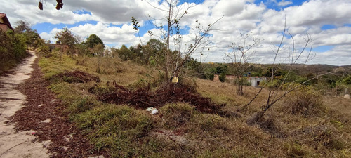 Imagem 7 de 15 de Lote Em Esmeraldas - Te00420 - 70076598