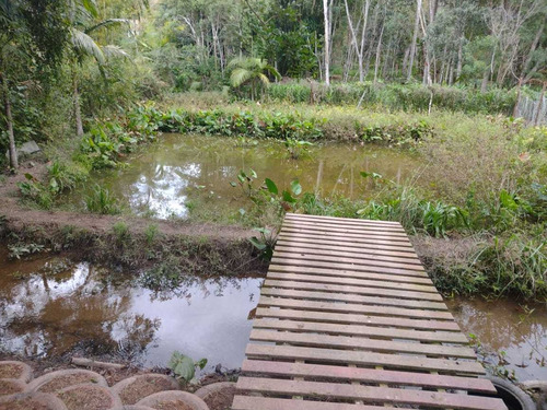 Imagem 3 de 14 de Chácara Juquitiba C Piscina Lagos Perto Represa Cod:4467