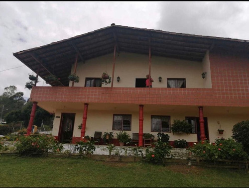 Encantadora Finca En Venta Con Linda Vista Guarne