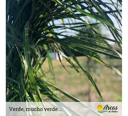 Terreno En Venta En Arcos De Andino - Posesión Y Escritura Inmediata