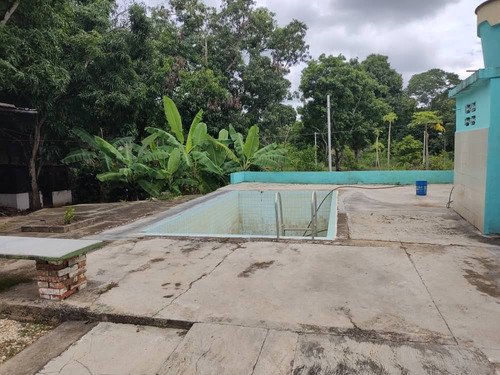 Imagen 7 de 26 de Kn Bienes Raices Vende Finca En El Sector Guayabitos, Tinaquillo Estado Cojedes. Karen Nuñez 0412-7415693
