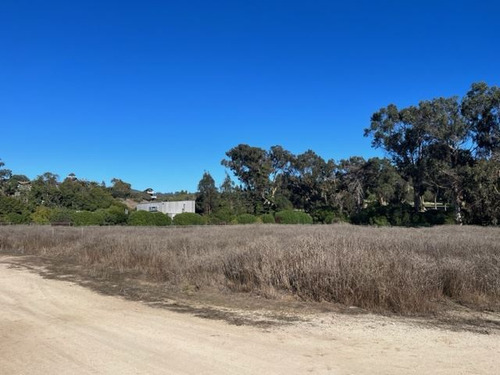 Sitio En Venta En Zapallar