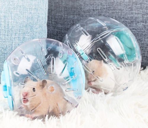 Esfera De Entrenamiento Para Hamster O Ardilla China. 10 Cm