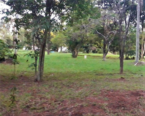 Imagem 1 de 6 de Terreno - Te00026 - 70794643