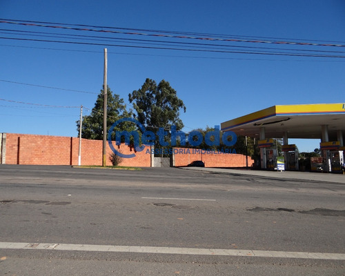 Terreno - Venda - 5.500m² - Bairro Capela - Vinhedo - São Paulo - Te00049 - 68380719