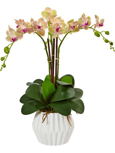 1489 N/a Arreglo De Seda De Orquídea Phalaenopsis, Cre...