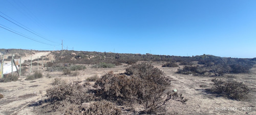 Propiedad En El Panul