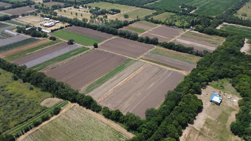 Venta De Terreno De 1 Hectarea - Apto Industria - Villa Esquiu