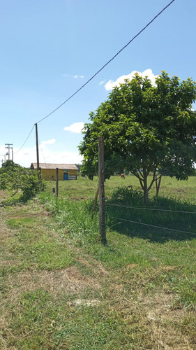 Vende Se Sítio Na Cidade De Pereiras Sp 30.000 Metros 2 Casa