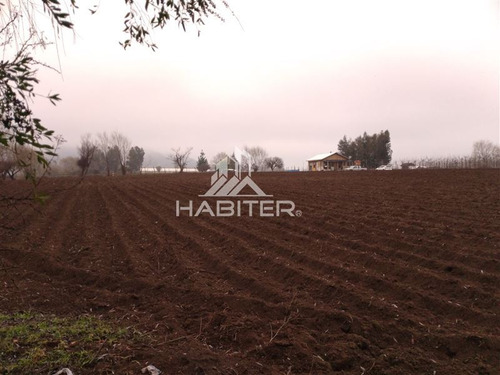 Imagen 4 de 30 de Agrícola En Venta En Teno