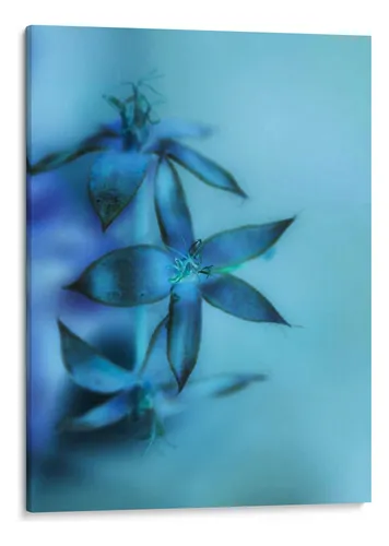 comprar Canvas Lab Cuadro Cayendo Hacia Adelante Ii 75x100